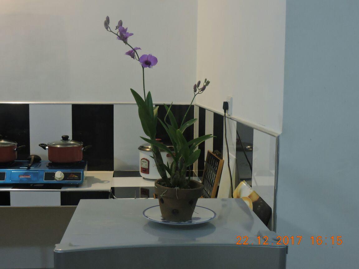 Dodanduwa Akain Villa מראה חיצוני תמונה