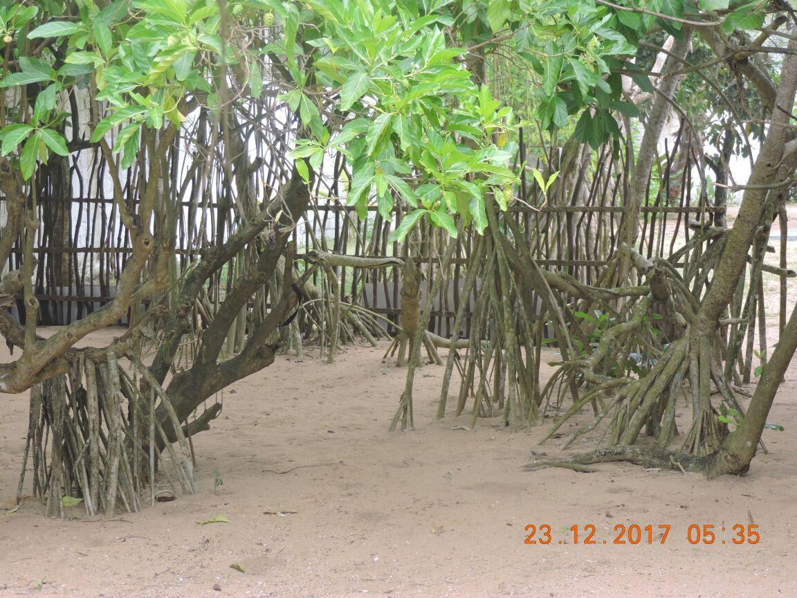 Dodanduwa Akain Villa מראה חיצוני תמונה